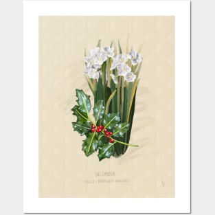 December Flower Birth Month Illustration Posters and Art